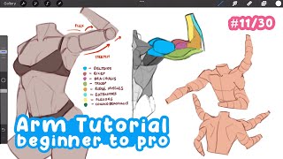 how to EASILY draw ARMS (Beginner to Pro)  | Full Drawing Tutorial - Art Bootcamp #11/30