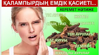 ҚАЛАМПЫРДЫҢ ЕМДІК ҚАСИЕТІ. КЕРЕМЕТ НӘТИЖЕ!!!