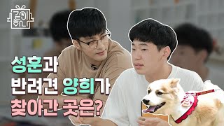 [하나금융그룹] 배우 성훈과 함께하는 하나파워온임팩트 캠페인 영상