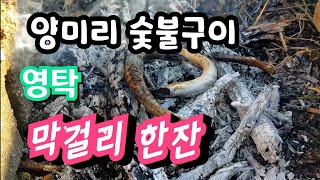 [막걸리한잔/영탁]트럼펫연주