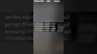 මේක ඇත්ත කියන අය කෝ බලන්න 😭😭 sinhala motivation #short video