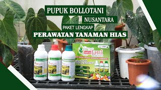 PUPUK ORGANIK BOLLOTANI NUSANTARA | PAKET LENGKAP PERAWATAN TANAMAN HIAS | 085649746971