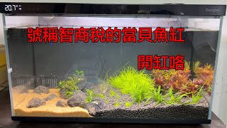 號稱是智商稅的當貝魚缸開缸咯，淺談一下智能魚缸的對標群體【水世界水族馆】Dangbei Smart Fish Tank 1 Ultra