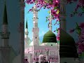 madinah islamicvideo beautiful allahgod