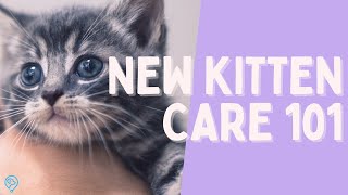 New Kitten Care 101: Essential Tips for Nurturing Your Feline Friend