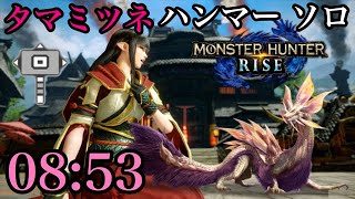 【MHRise Demo】タマミツネ討伐 ハンマー ソロ 08:53/Mizutsune Hammer solo【モンハンライズ体験版】