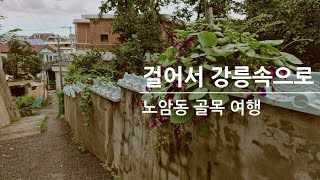 정겨운 동네 골목길 여행/골목 풍경《걸어서 강릉속으로》