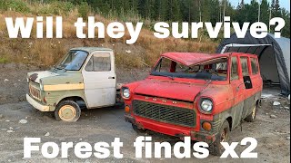 Ford Transit Mk1, Abandoned Barn/Forest find, possible to save? Will they ever run?