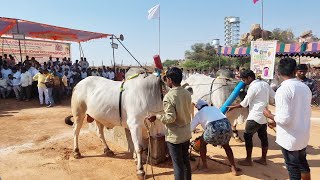 బిజినపల్లి న్యూ కేటగిరి విభాగం బండలాగుడు పోటీలు 4వ జత-Bijinapally videos-bijinapally-ox videos-bulls