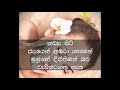 මේ ටික නම් බොහෝ දෙනාට වැදගත් වෙයි.