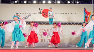 [4K] 桜（高知中央高等学校）　高知よさこい祭り 2019 本祭2日目 (中央)