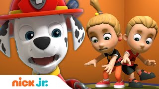 PAW Patrol Rescues Double Trouble Twins! w/ Chase, Marshall & Skye | Nick Jr.