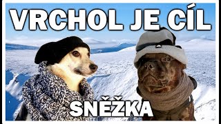 Sněžka - zimní výlet | Vrchol je cíl