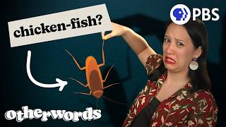 Everyone Gets These Word Origins Wrong | Otherwords
