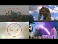 5 Godzilla Characters Caught on Camera & Spotted in Real Life 4