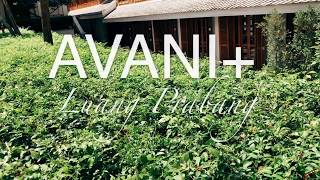 Khám phá Top Resort Luang Prabang - AVANI+ Laos | Review AVANI+ Luang Prabang