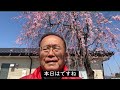 023 005「ホールに応じた距離感ショット！」50 m・30m・25ｍ・15ｍの打ち方について解説、是非ご覧になって下さい。参考になりますよ！