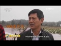 20160118 生财有道 生态中国系列（乡村行）：生态富民黄花镇