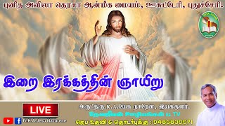24.04.22 | Divine Mercy Feast Mass | Fr.K.A.Jesu Nazarene