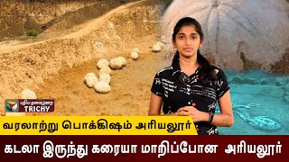 வரலாற்று பொக்கிஷம் அரியலூர் | Ariyalur | Dinosaur Eggs | History | Fossil Museum |