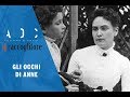 Gli occhi di Anne - Il Raccoglitore