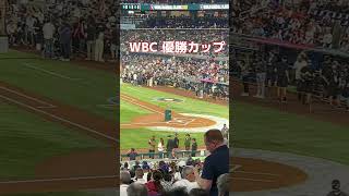 【WBC 決勝戦】優勝カップ #short #shorts