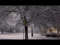 after midnight heavy snowfall ❄️ halifax canada 🇨🇦 snow storm walk winter 2024