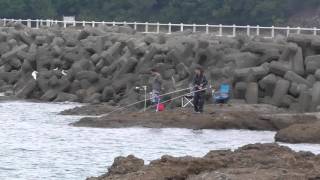 土曜日　満潮時の田辺市天神崎元島の釣人