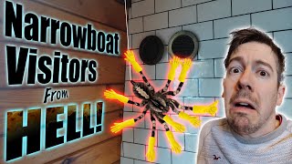 DIY natural SPIDER deterrent and NARROWBOAT tile hacks| HOUSEBOAT KITCHEN REFIT