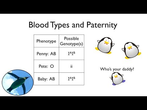 Blood Types and Paternity Blood Types and Paternity