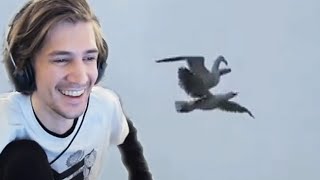 xQc Reacts to memes that mama'd my mia