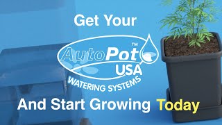 Introducing AutoPot USA Watering Systems