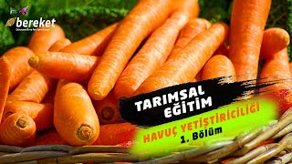 Tarımsal Eğitim / Havuç Yetiştiriciliği 1. Bölüm