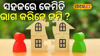 ସହଜରେ କେମିତି ଭାଗ କରିବେ ଜମି ? Property Partition Laws in India। Odisha। Odia News। #local18