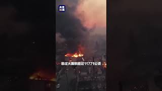 美国洛杉矶山火已致至少10人死亡。Los Angles deadly fires.｜美国加州　#shorts #usa