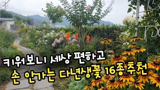 키워보니 세상 편하고 손 안가는  예쁜 다년생꽃16종추천,노지월동꽃 ,한번만 심어두면 되는 다년생꽃,