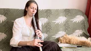 Duhont Ar Er Mané (hanter dro) - breton folk song | low D whistle \u0026 celtic harp + SHEET MUSIC