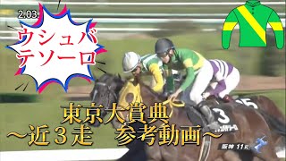 【東京大賞典/参考動画】ウシュバテソーロ〜近3走〜