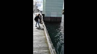 Seabed Sampling