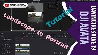 Davinci resolve 19 | Landscape to portrait #DJI #fyp #drone #example #tutorial #avatar