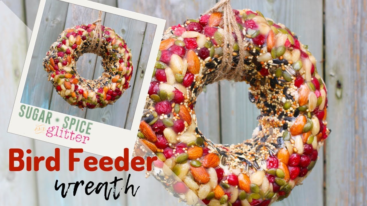 Bird Feeder Wreath Youtube