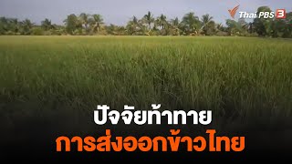 ปัจจัยท้าทาย การส่งออกข้าวไทย | จับสัญญาณเศรษฐกิจ | 4 ม.ค. 66