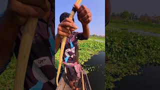 বড়শীতে দেশী কৈ ! কী মজা !!  #travel #fishing #fish #riverfishing #giantfish #traveltips99