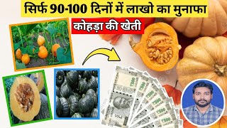 कोहड़ा/कद्दू की खेती ll Kohra/Kaddu ki kheti l Pumpkin farming #pumpkin #farming #kaddu #kohra