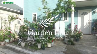 🕊Garden Tour🕊70 つるバラ10本と5本の木を植えた南側の庭や、バラを絡めたモルタル造形、鉢バラを並べたウッドデッキなど、バラで溢れた庭