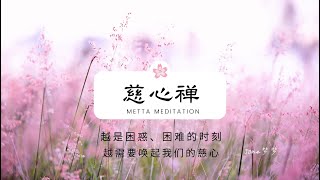 慈心禅——越是困惑、困难的时刻，越要唤起我们的慈心/慈爱冥想/祝福自己，祝福众生