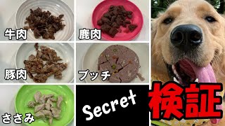 【検証】愛犬に好きなものを選ばせたら衝撃の結果に！？【ゴールデンレトリバー】