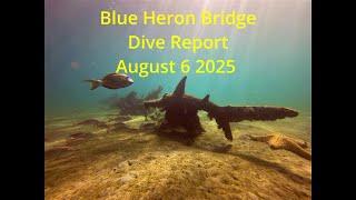 BHB Night Dive August 6 2025