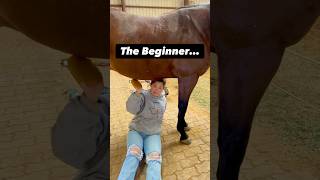 Beginner Vs Experienced Horse Owners! 🐴 #shorts #animals