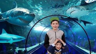 VLOG - IN THE TUNNEL OF SHARKS IN MARINELAND 😱